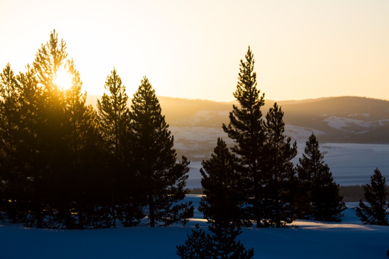 20150308-GC1A0308.jpg